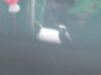 100_1724.jpg